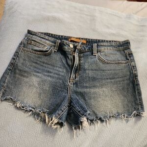 Joes Jeans Daisy Dukes Shorts